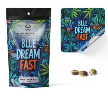 Samen 3x Blue Dream Fast fem. Nordkraut
